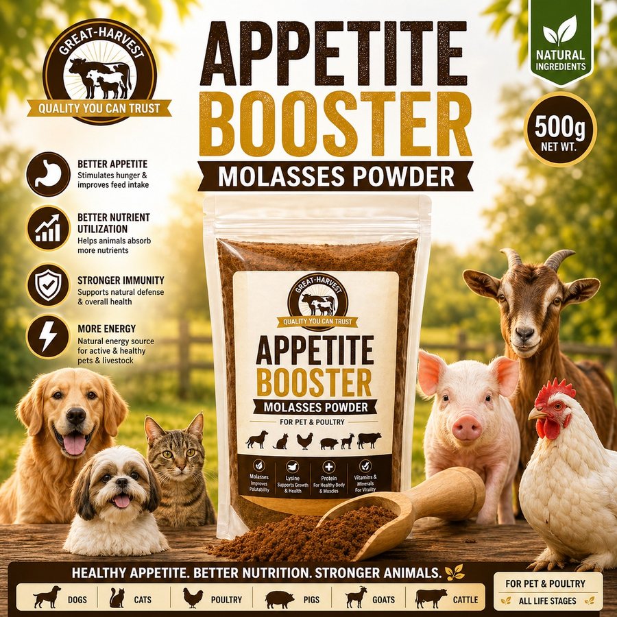 Appetite Booster Molasses Powder