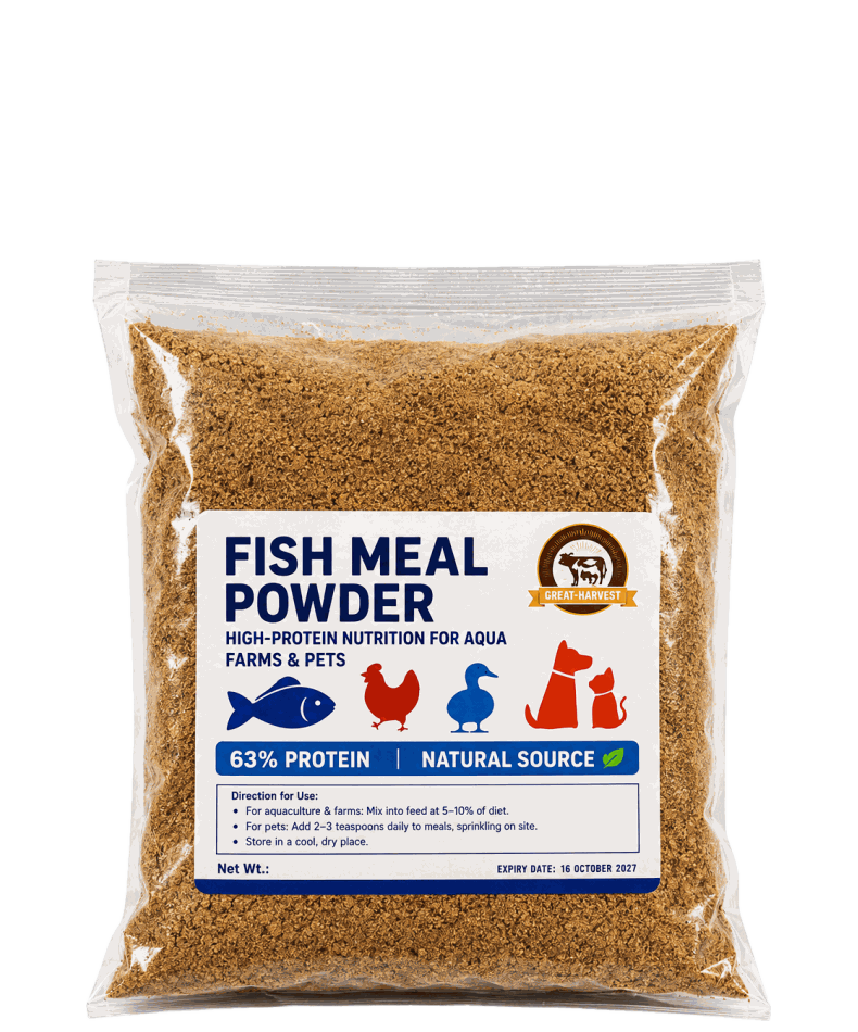 Fish Meal Powder high protein feed